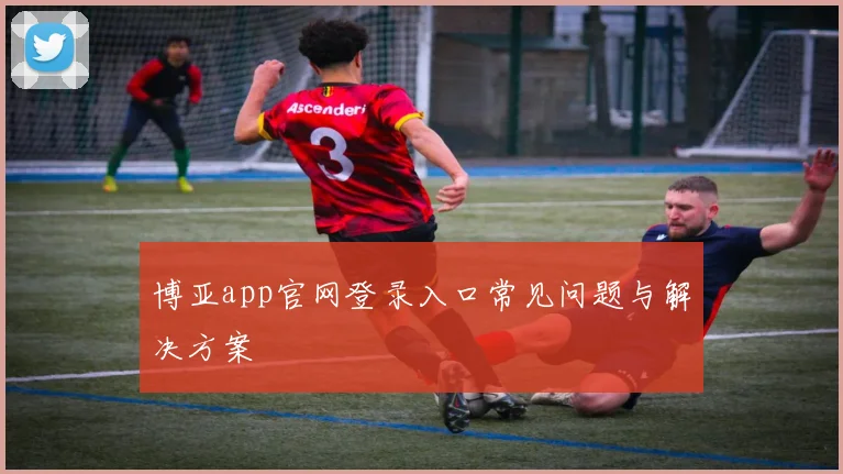 博亚app官网登录入口常见问题与解决方案